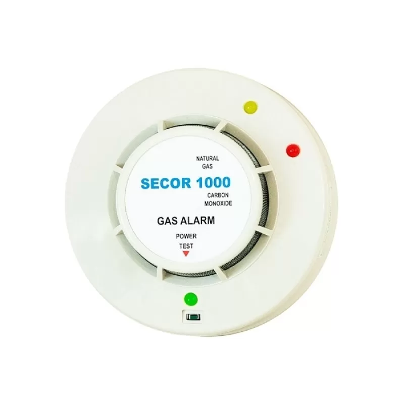 DETECTOR DE GAZ METAN SI MONOXID DE CARBON 12V